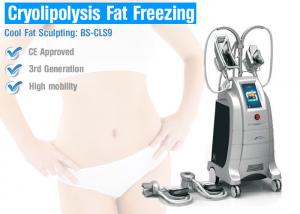 China Fat Freeze Cryolipolysis Treatment For Body Slimming on sale