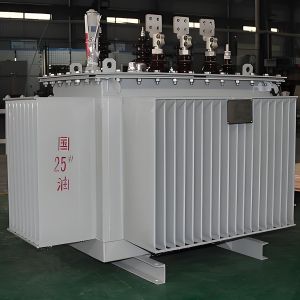 S11 Series Oil Immersed Power Transformer 6kv 10kv 11kv 15kv 30kv 33kv Three
