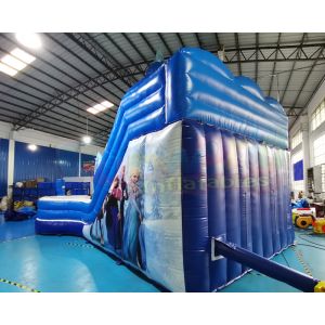 Frozen Double Jumping Bouncer Inflatable Water Slide With Pool