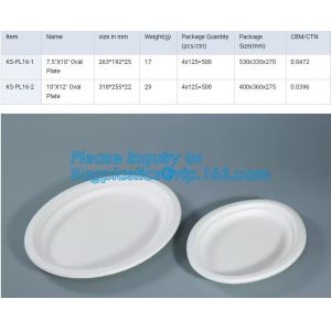 Compostable custom environmental biodegradable trays disposable sugarcane pulp
