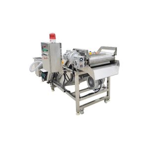 Portable 500kg/Hour Vegetable And Fruit Washing Machine