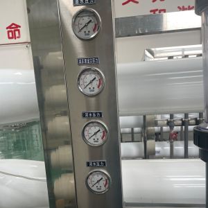 Brackish Salty Sea Water Filter Purification 9Ton RO System with 2L/Hour