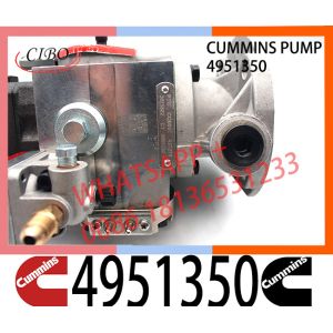 Diesel Engine Fuel System Parts For NTA855-D 4951350 Injector Pump For Cummins