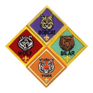 Stick On Shrink Proof 3D Boy Scout Rank Patches For BSA Uniform