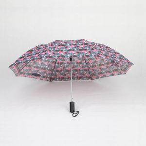 Automatic Open Two Fold Umbrella 21 Inch Skull Printing Fabric Plastic Handle