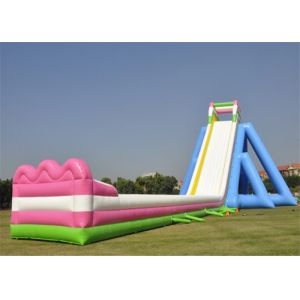 Customized Inflatable Giant Slide Recreational Hippo Animal Theme Design With