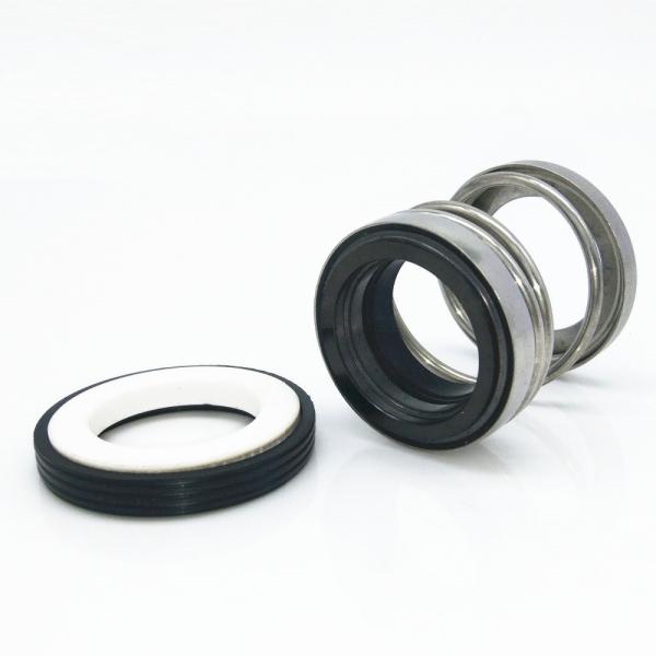 Quality Single Spring 166T Rubber Bellows Mechanical Seal Aesseal Flowserve 21 Bellow Seal For Pumps wholesale