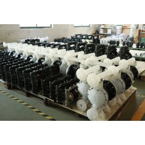 2 Inch Electric Diaphragm Pump with 10.5m³/h Flow Rate and 1 Year Warranty for