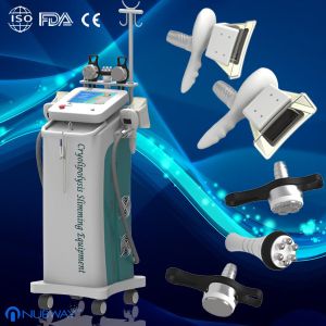 China Fat Freezing fat removal weight loss cryolipolysis body slimming machine for acre loss spa on sale