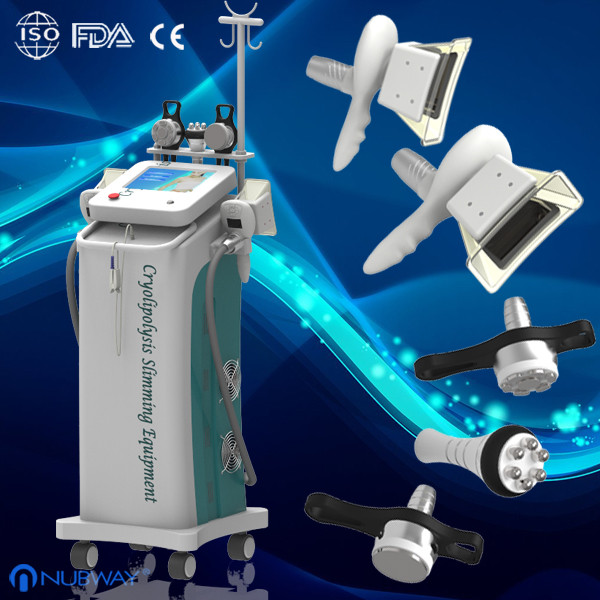 Quality Professional Cryolipolysis Slimming Machine For Fat removal  And body shaping wholesale