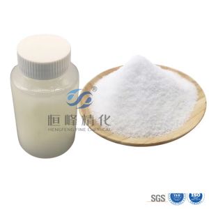 Chemical PAM Cationic Polymer Polyacrylamide Sludge Dewatering Mud Press