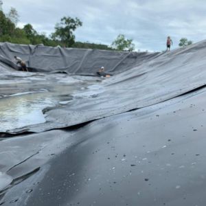 HDPE Geomembrane Waterproof Liner for 1m-8m Width Smooth Surface Pond in Shrimp