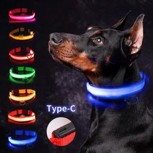 LED Dog Collar Waterproof Adjustable USB Type-C Recharge Solid Pattern Flashing