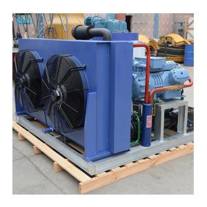 Carbon Steel Freezing Surface Flake Ice Making Machine 1/2/3/5/10Ton for Fish