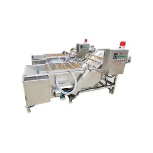 Ozone Bubble Chili Raisin 500kg/h Mango Washing Machine