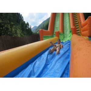 0.55mm Plato Inflatable Water Slide With Swimming Pool