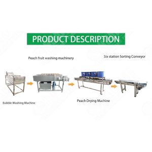 Hot selling 20t/h Leaves Cutting Clean And Drying Equipment by Huafood