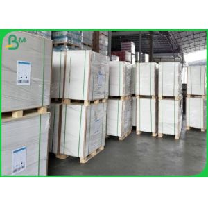 FDA Certified PE Coated Board 300gr 350gr Greaseproof For Making Lunch Box