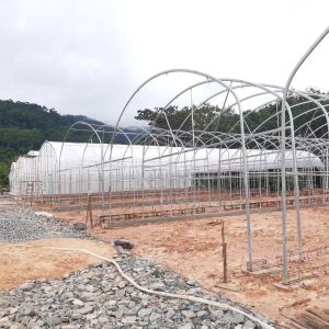Practical High Tunnel Greenhouse For Agricultural Solutions