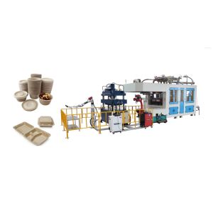 Cheap Smart Disposable Paper Pulp Molding Food Tray Producing Machine With Two Robot Arms for sale