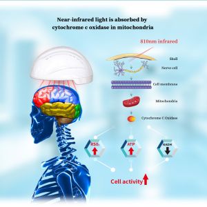 Medical Brain Neuron Stimulator 810nm Transcranial PBM Helmet For Brain Cell