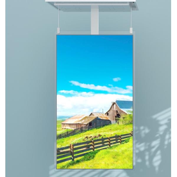 32/55 Inch 1080p Android OLED Digital Signage