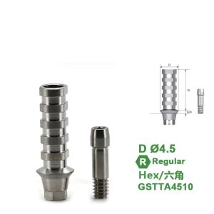Osstem GS(TS)® HIossen® Titanium Temporary Abutment Compatible with Mini /