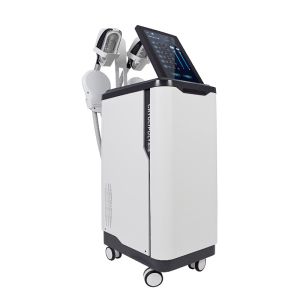 China Cool Sculpting  Slimming Laser Machine Non Invasive Eliminating Fat on sale