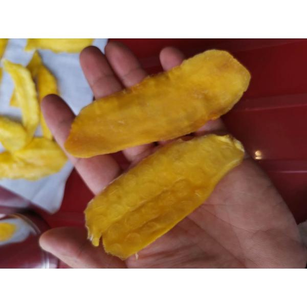 Heat Pump Dryer for drying mango