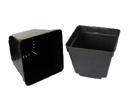 Series 11 Plstic flower pots square black