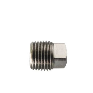 Hydraulic SS316 BS21 DIN2999 Threaded Pipe Plug