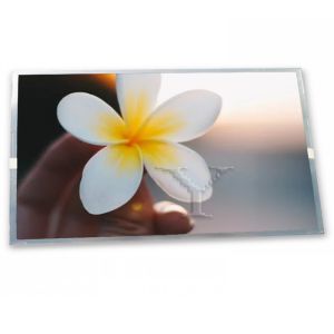 Cheap NL3224BC35-22 New Compatible 5.5-Inch WLED LCD Display Module ODM 320*240 Resolution LCD Modules for sale