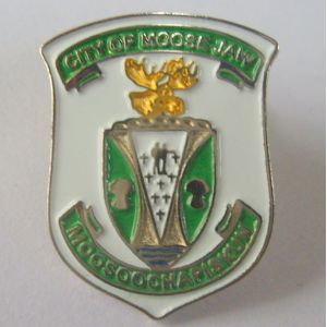 Cheap Iron / Brass Die Struck With Soft Enamel Lapel Pin Badge for sale