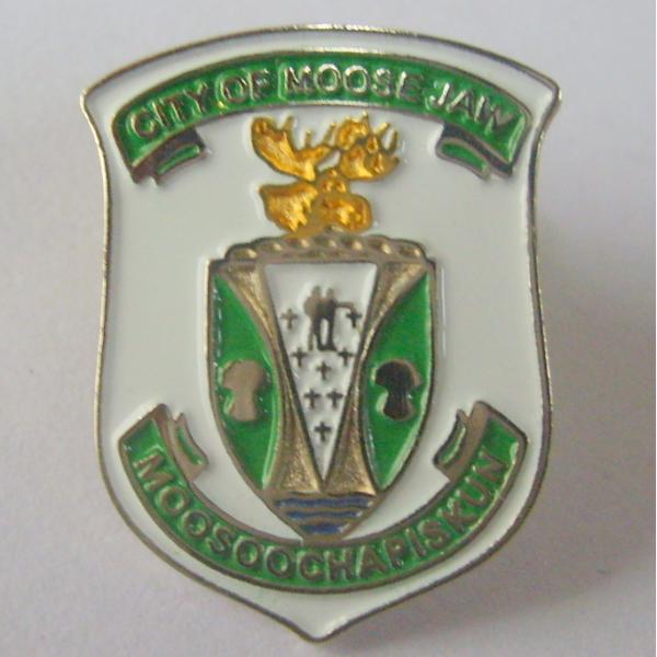 Iron / Brass Die Struck With Soft Enamel Lapel Pin Badge