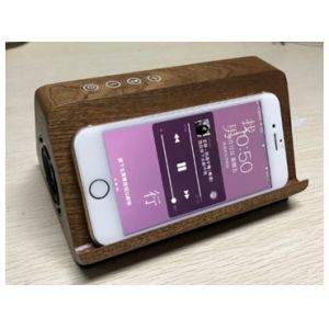 Bluetooth Rechargeable Portable Speaker , Battery Powered Bluetooth Speaker