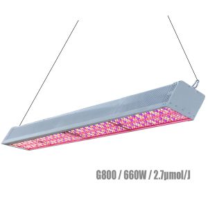 Cheap UV LED Supplemental Grow Lights Lm301b 60Hz For Medical Herbs for sale