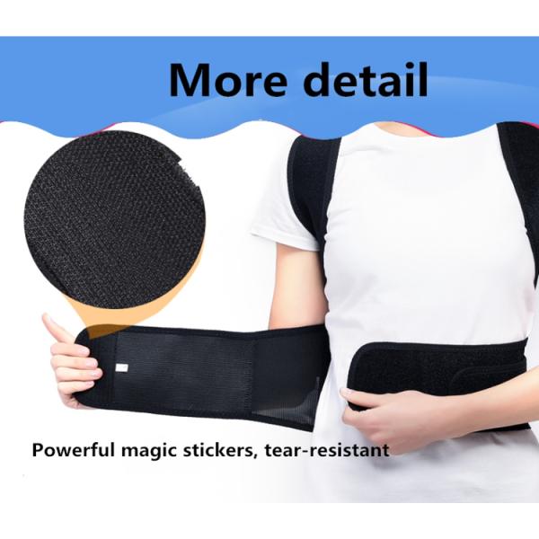 High Durability Magnetic Waist Back Support Belt Posture Lumbar Belt S M L Size