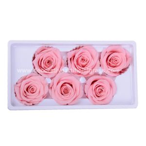 Dehydrated Eternal Long Lasting Roses In A Box Non-Toxic