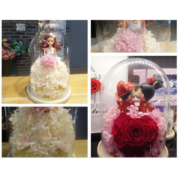 glass dome for display decorations with base wood