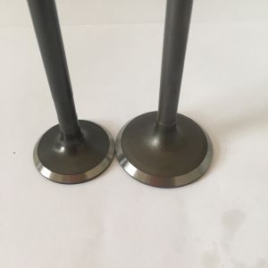 FD35 FE6 Machinery Engine Valve For Car Engine Parts 13201-Z5501 13202-Z5502