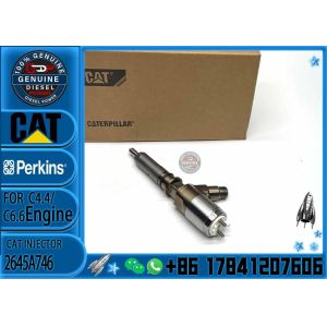 China Common Rail Injector 2645A746  10R-7672 2645A718 10R-7673 10R-7676 2645A734 10R-7674 10R-7668 10R-7938 on sale