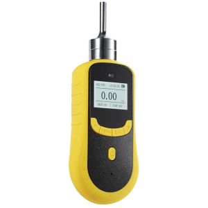 ATEX Certified Portable Gas Detector with 0-1000PPM Range and Electrochemical