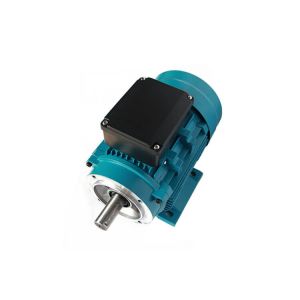 1 Ph 0.5HP 220v 50Hz Single Phase Induction Motor With IEC Standard For Driving