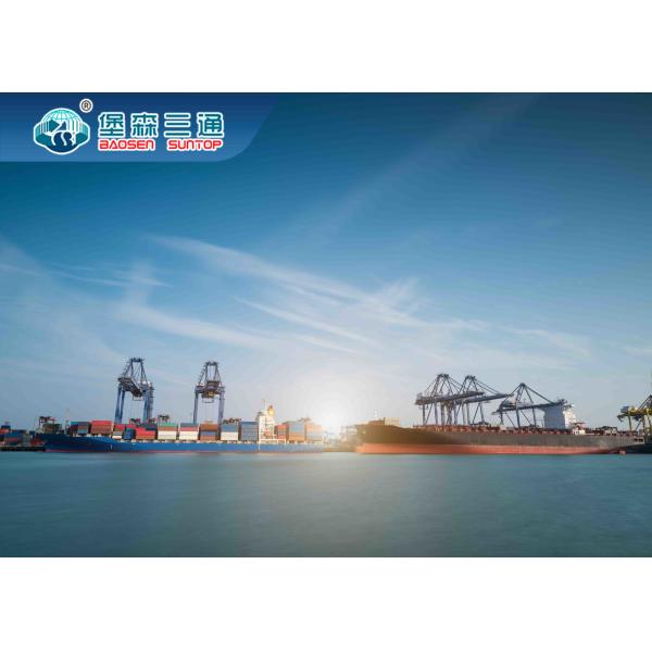 International FCL And LCL Sea Freight Shipping From China To Oman