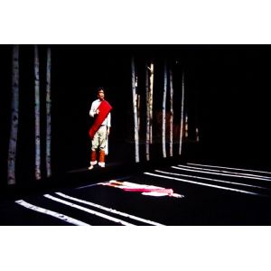 Eyeliner 3D Holographic Foil Hologram Technology 3D Hologram for Events , Shows