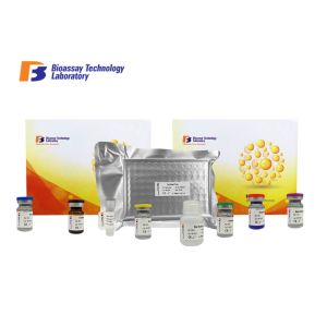 ISO Standard Human ELISA Kit ARHGEF1 Immunoassays Test Kit 2.79ng/L Sensitivity