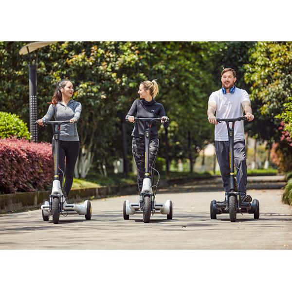 Quality Structural Steel 4h Charging Stand Up Motor Scooter wholesale