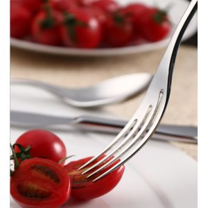 Mirror Polish 1810 Silverware