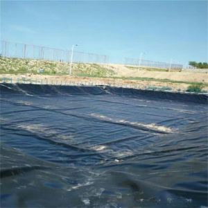 0.2mm-2.8mm Thickness Black Anti-Aging Geomembrane Impermeable Membrane for