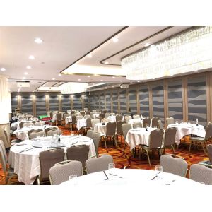 Customizable Banquet Hall Partition Wall Aluminum Frame Event Panels